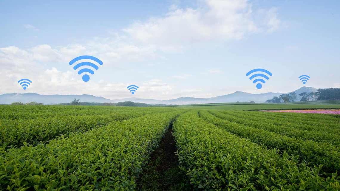 Projeto de smart farming do ISQ distinguido pela Fujitsu