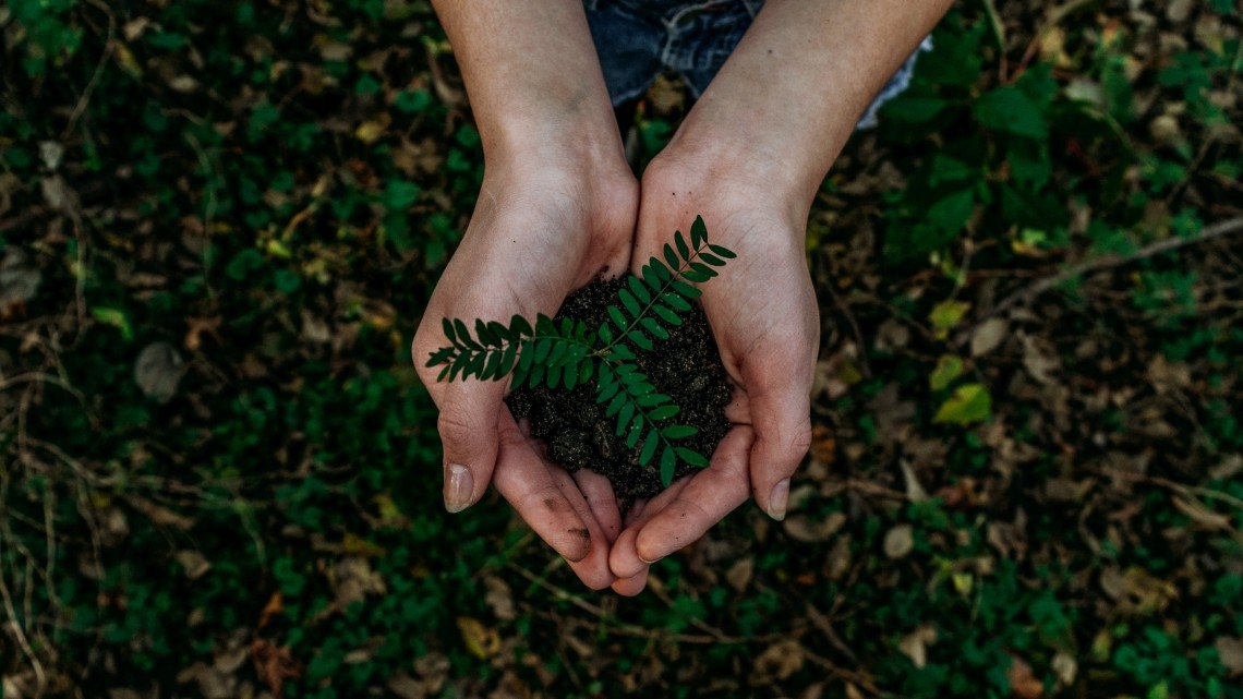 Sustentabilidade é diferenciador competitivo na escolha de fornecedores de IT