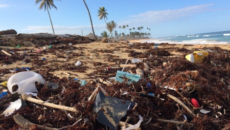 SAP quer diminuir poluição nos oceanos