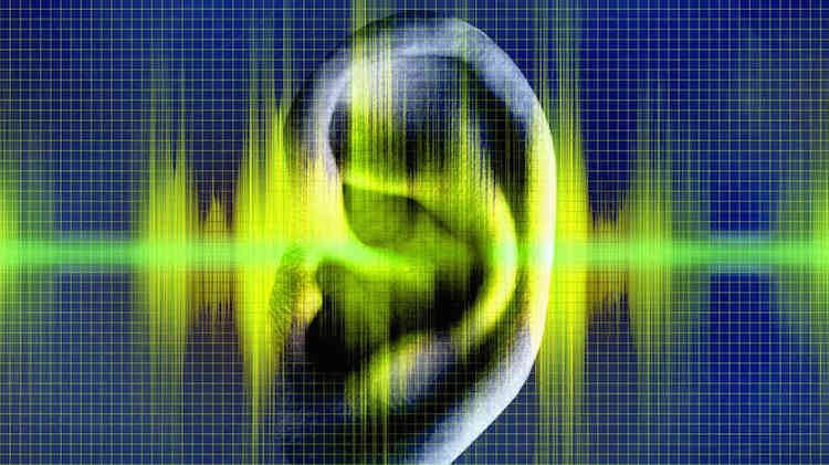 Tecnologia biométrica permite identificação de pessoas através do som
