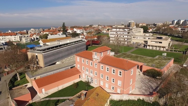Universidade Católica do Porto lança formação focada na recuperação de empresas