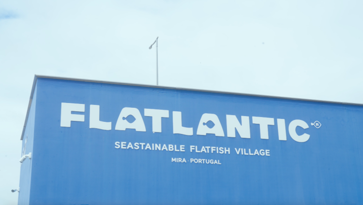 Controlo financeiro e integração entre áreas: Como a Brighten Consulting e a Sage melhoraram o negócio da Flatlantic