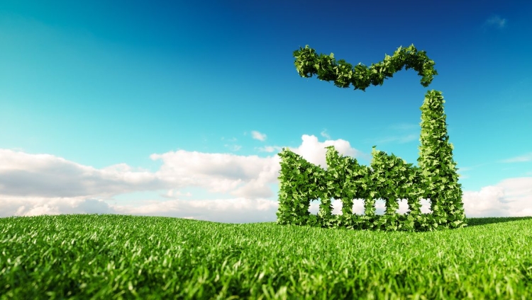 Quando os dados transformam a sustentabilidade em decisão